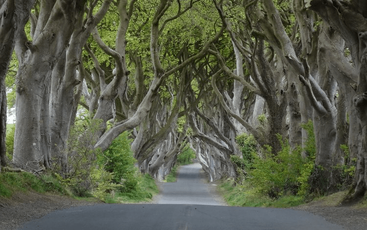 lieux tournage game of thrones winterfell