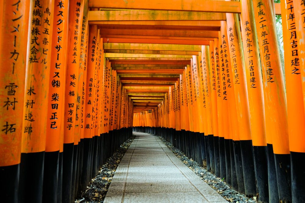 que faire kyoto fushimi inari