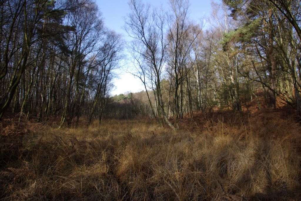 que faire val d'Oise foret montmorency