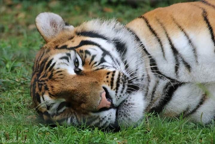 visiter seine marne lumigny