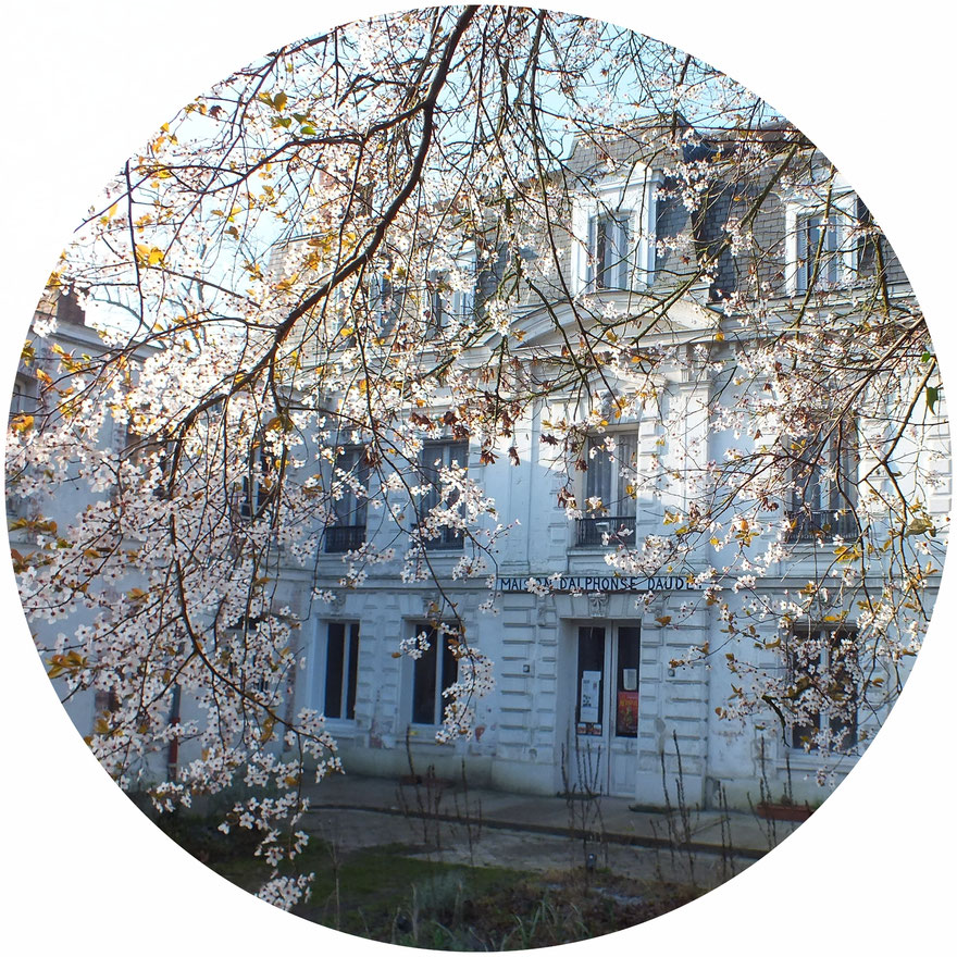 visiter essonne aphonse daudet